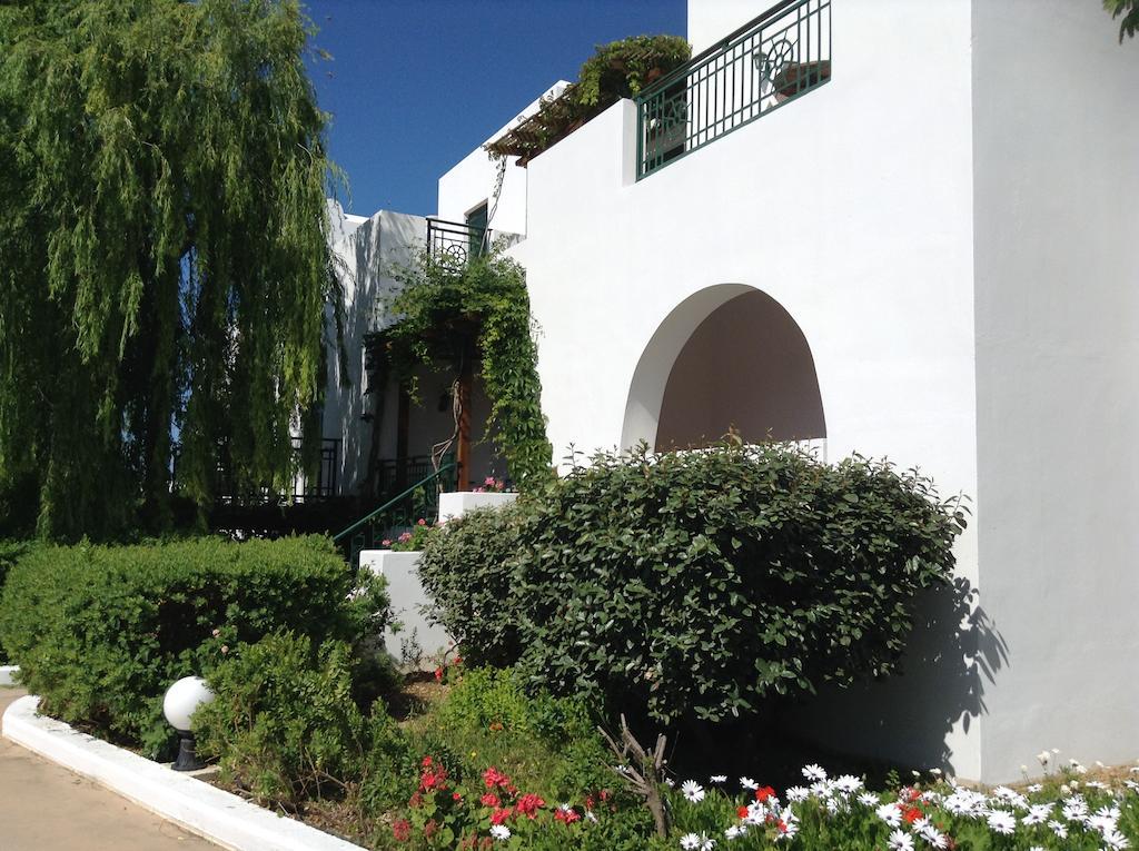 Astir Of Naxos Hotel Naxos City Eksteriør billede